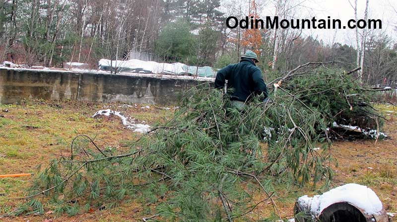 Odin Mountain, the Human Skidder