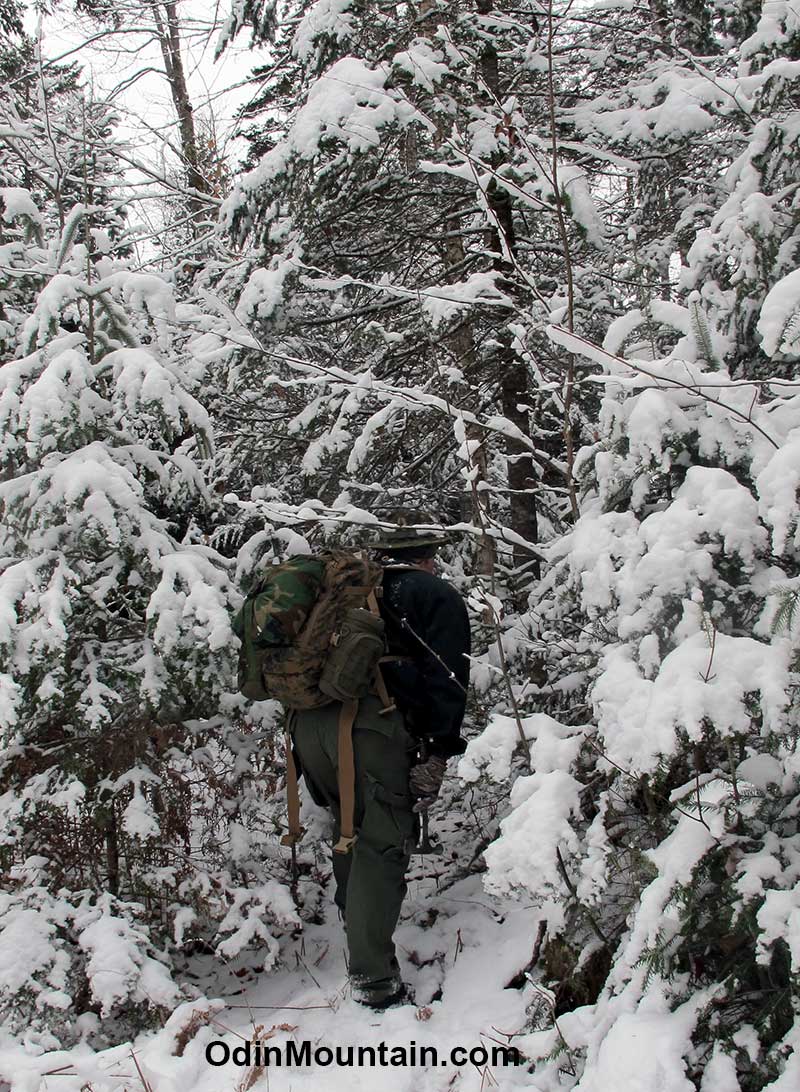 The jungles of the Great North Woods become especially difficult after a wet snowstorm.