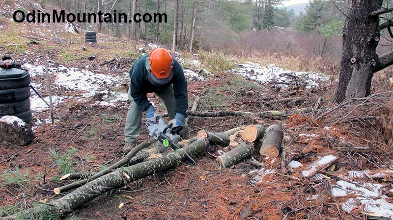 Cutting up the large tree limbs using an electric chainsaw